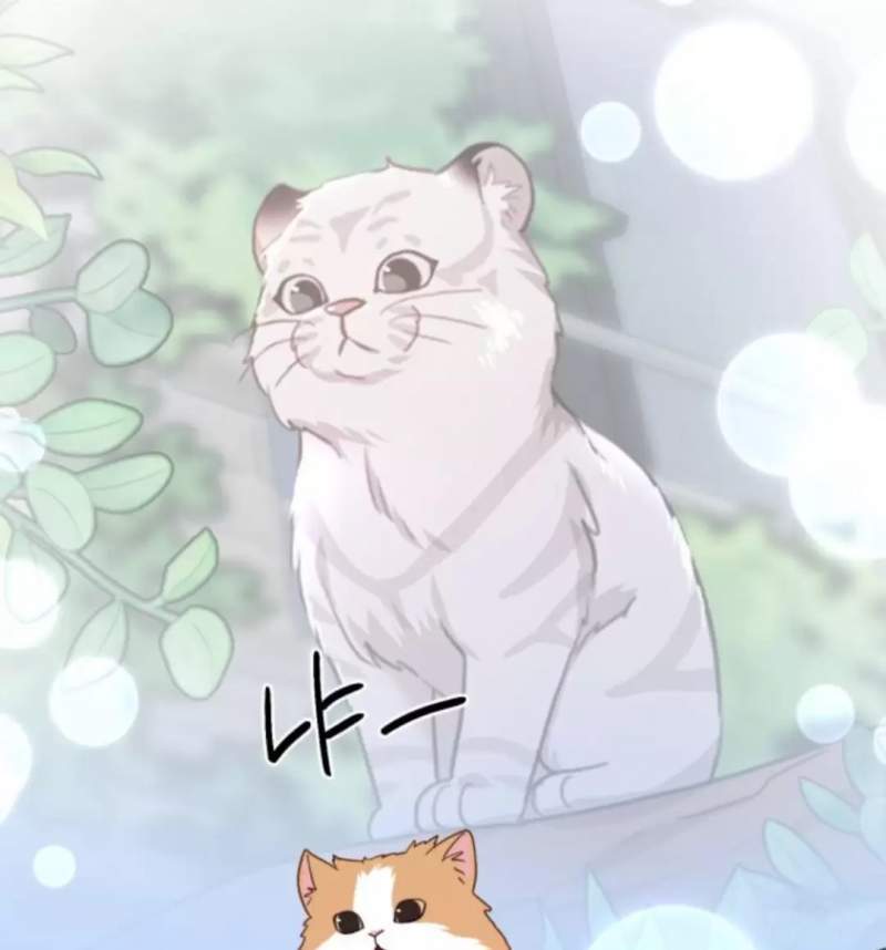 Thần Hổ Jangsan Chapter  50 - 200