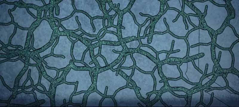 Tôi Đã Trở Thành Quái Vật Không Gian Chapter 21 - 20