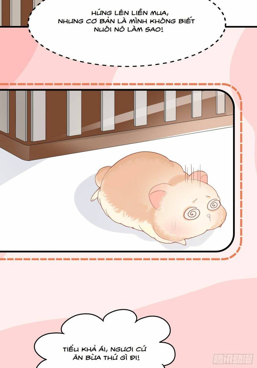 Bảo Điển Tình Yêu Của Hamster Chapter 1 - 13