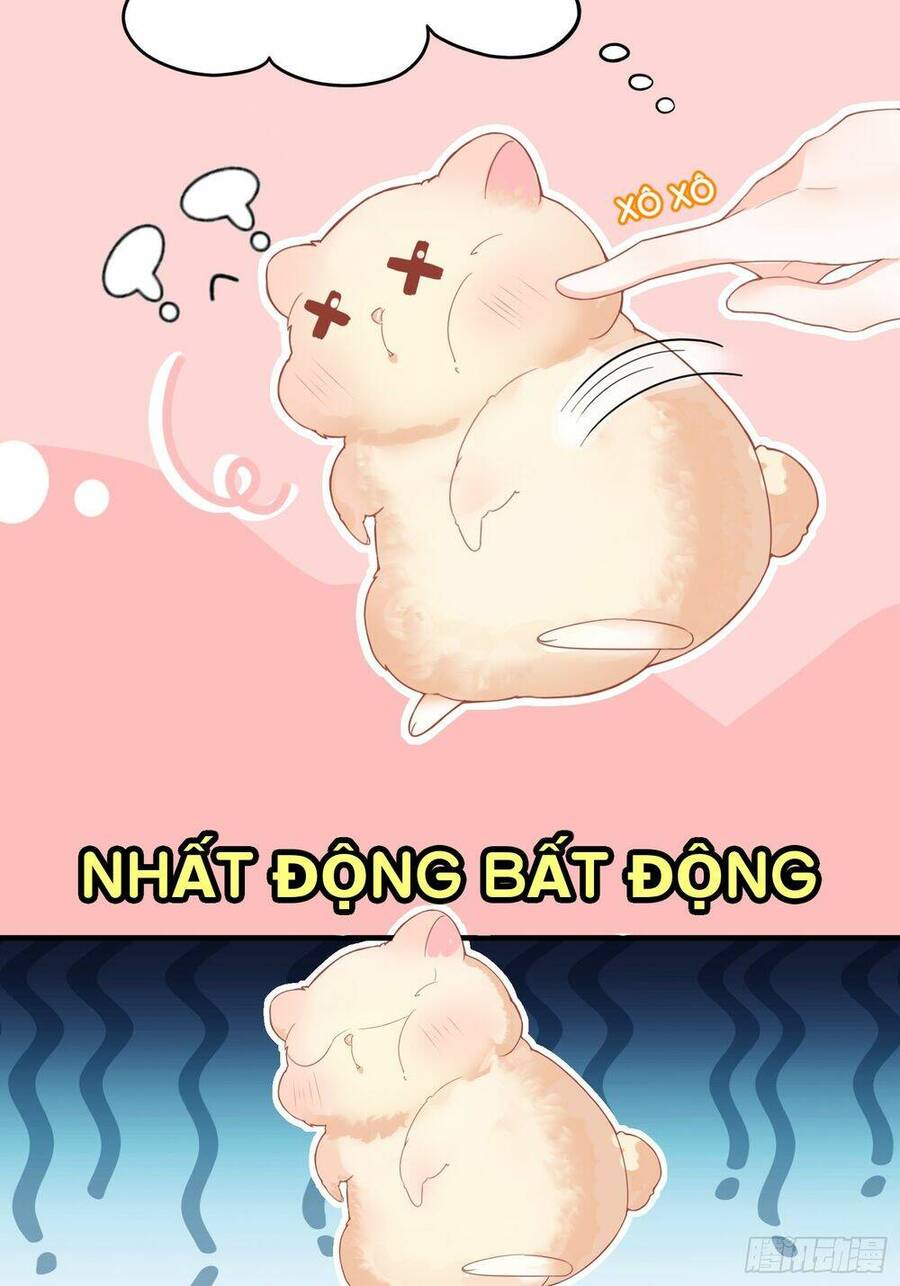Bảo Điển Tình Yêu Của Hamster Chapter 1 - 14