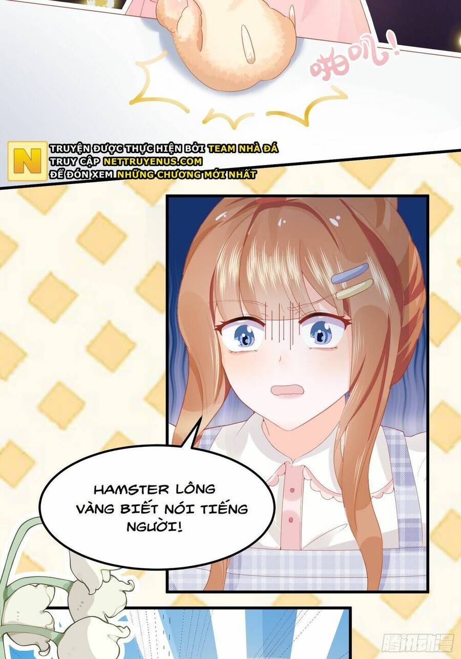 Bảo Điển Tình Yêu Của Hamster Chapter 1 - 25