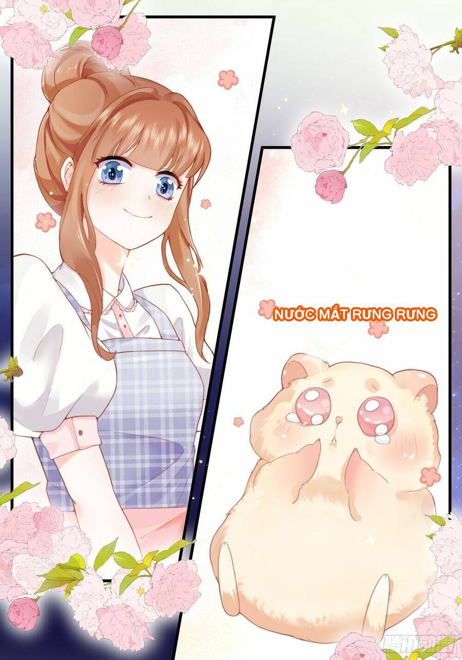 Bảo Điển Tình Yêu Của Hamster Chapter 1 - 10