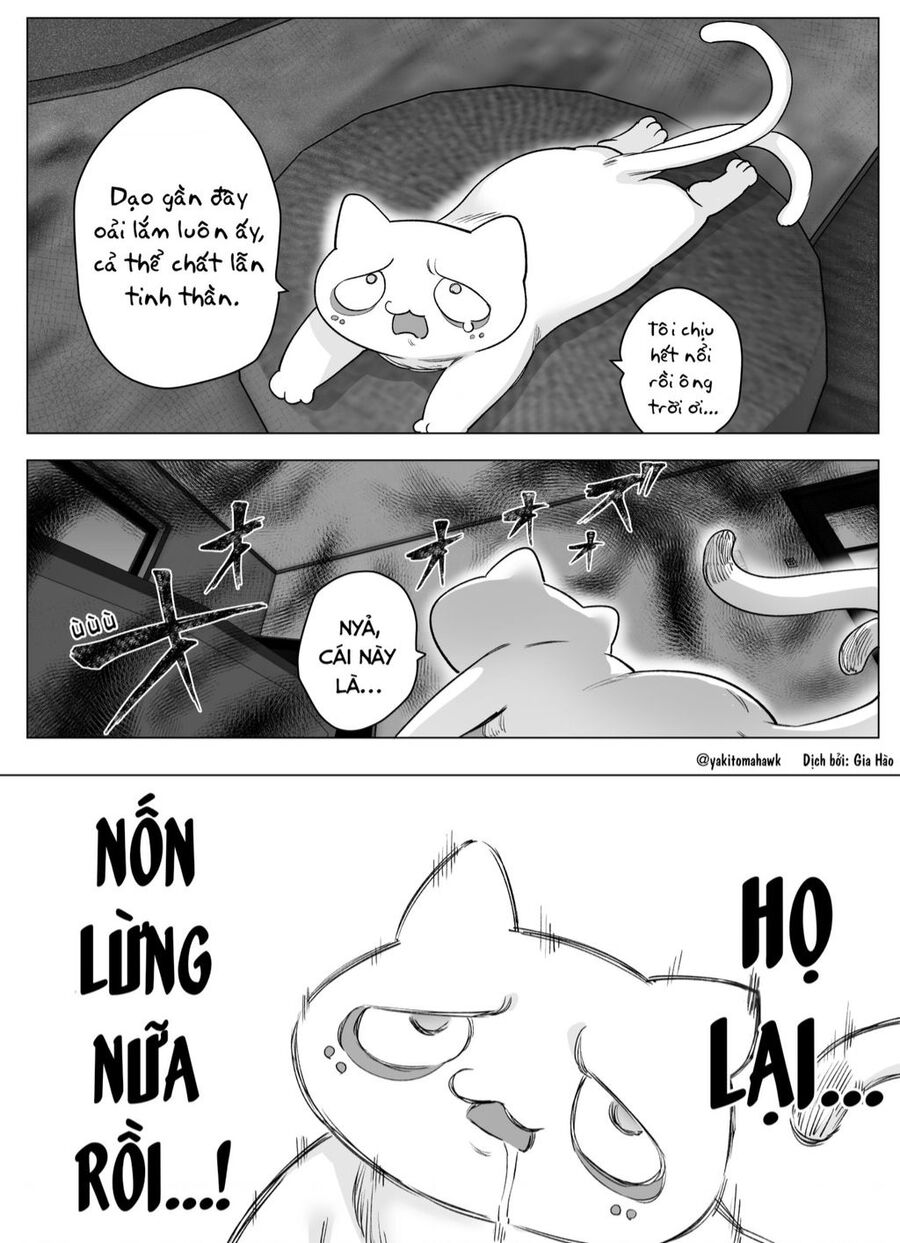 Cho Dù Cổ Không Ăn Lại Nữ Chính, Nhưng Bakeneko-Chan Vẫn Sẽ Cố Gắng Chapter 10 - 1