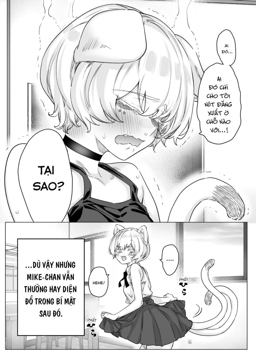 Cho Dù Cổ Không Ăn Lại Nữ Chính, Nhưng Bakeneko-Chan Vẫn Sẽ Cố Gắng Chapter 4 - 4