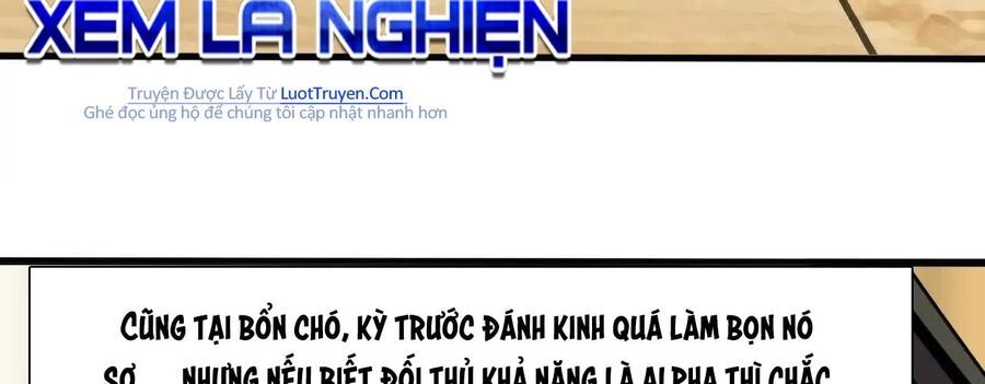 Dũng Giả X Nữ Ma Vương Chapter 181 - 213