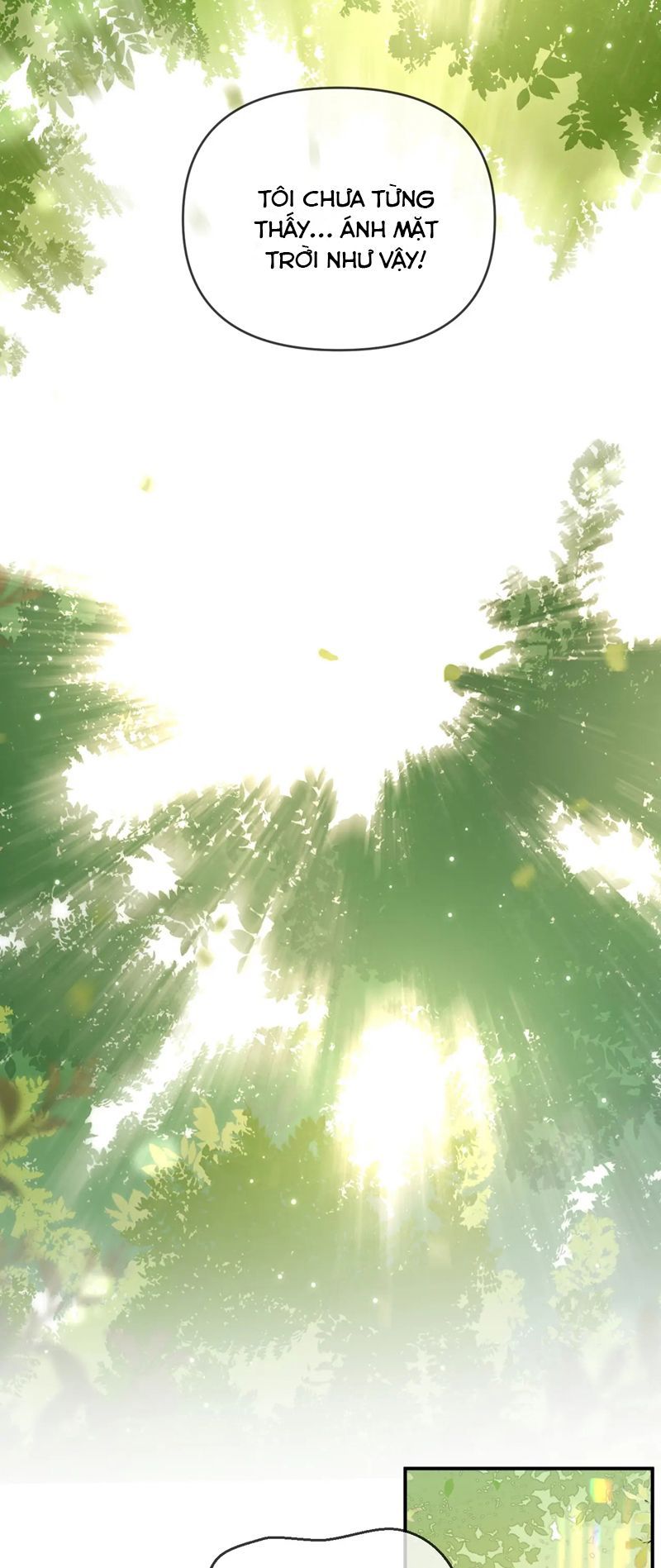 Cả Thế Giới Đều Muốn Ghép Chúng Tôi Làm Cp Mặc Dù Chúng Tôi Muốn Ly Hôn Chapter 135 - 29