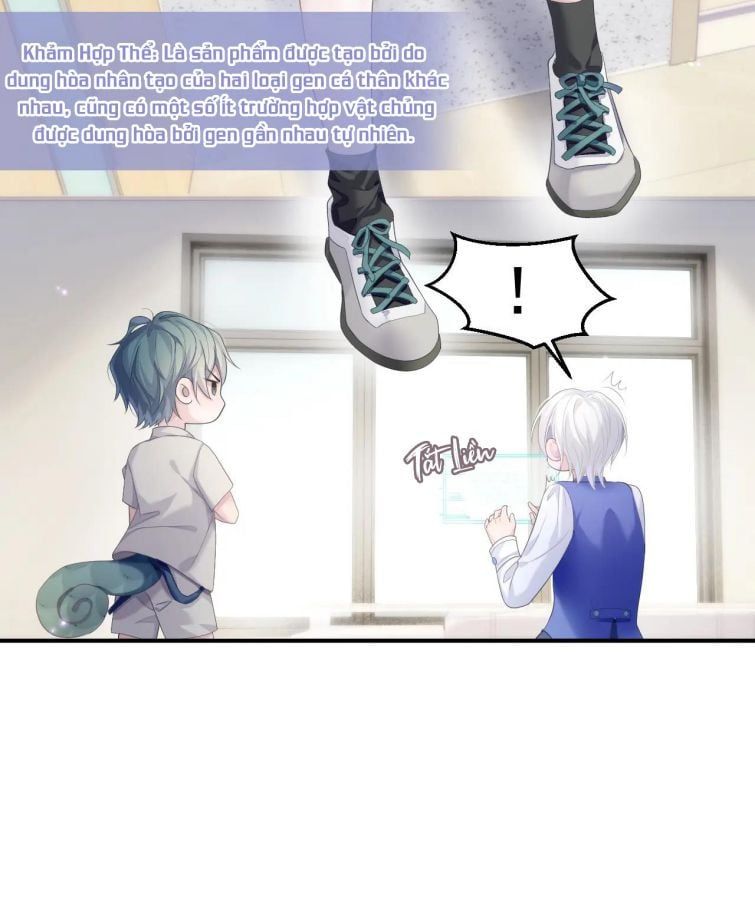 Cả Thế Giới Đều Muốn Ghép Chúng Tôi Làm Cp Mặc Dù Chúng Tôi Muốn Ly Hôn Chapter 33 - 14