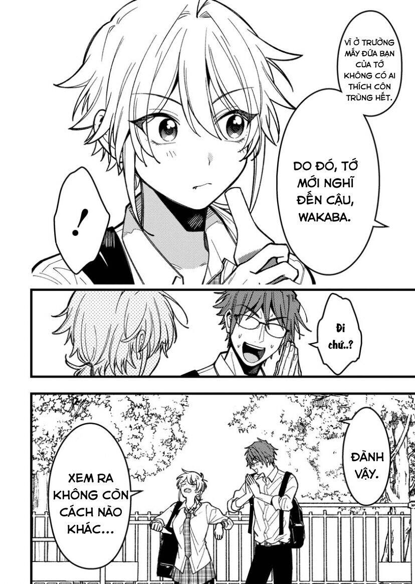 Wakaba-Chan Wa Wakarasetai Chapter 13 - 8
