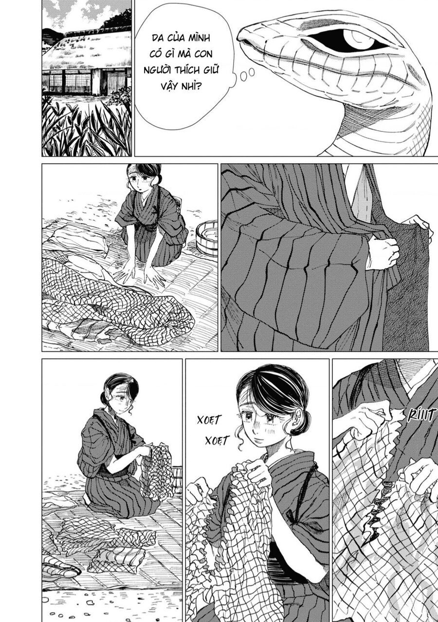 Đại Xà Phu Nhân Chapter 11 - 11