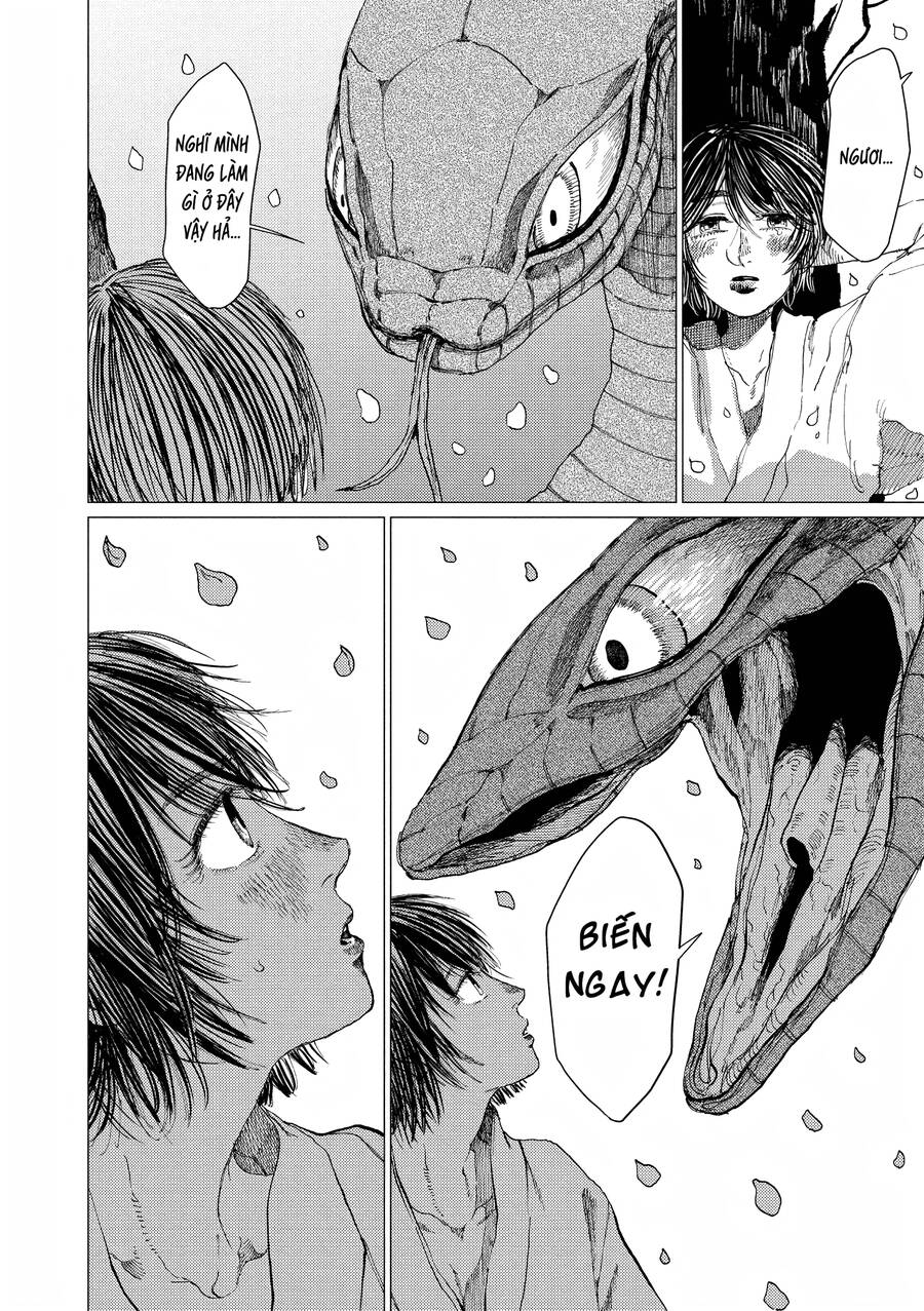 Đại Xà Phu Nhân Chapter 14 - 10