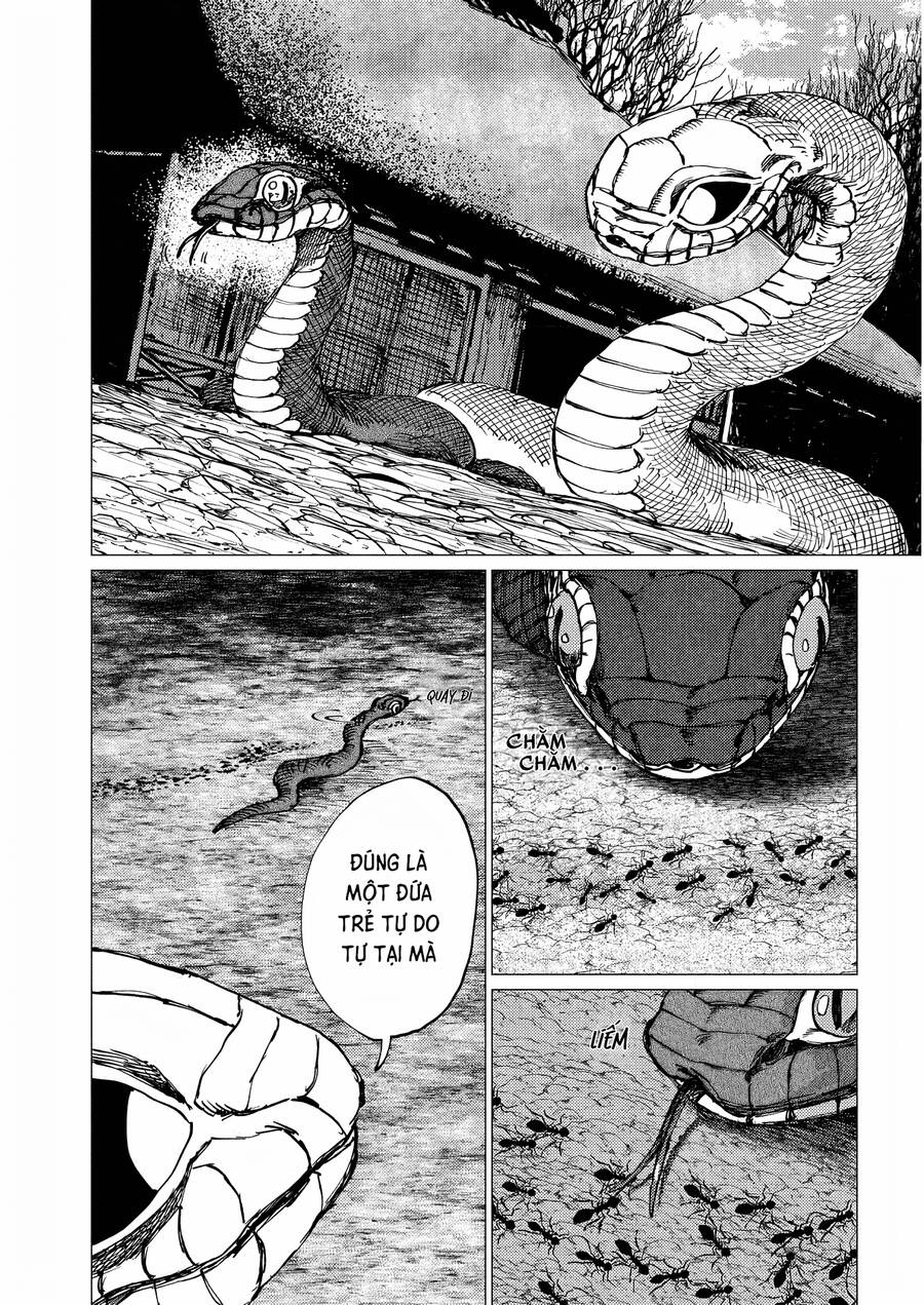 Đại Xà Phu Nhân Chapter 22 - 11