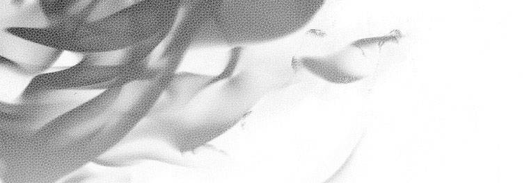 Mẹ Chồng Phản Diện Đáng Yêu Chapter 21 - 263