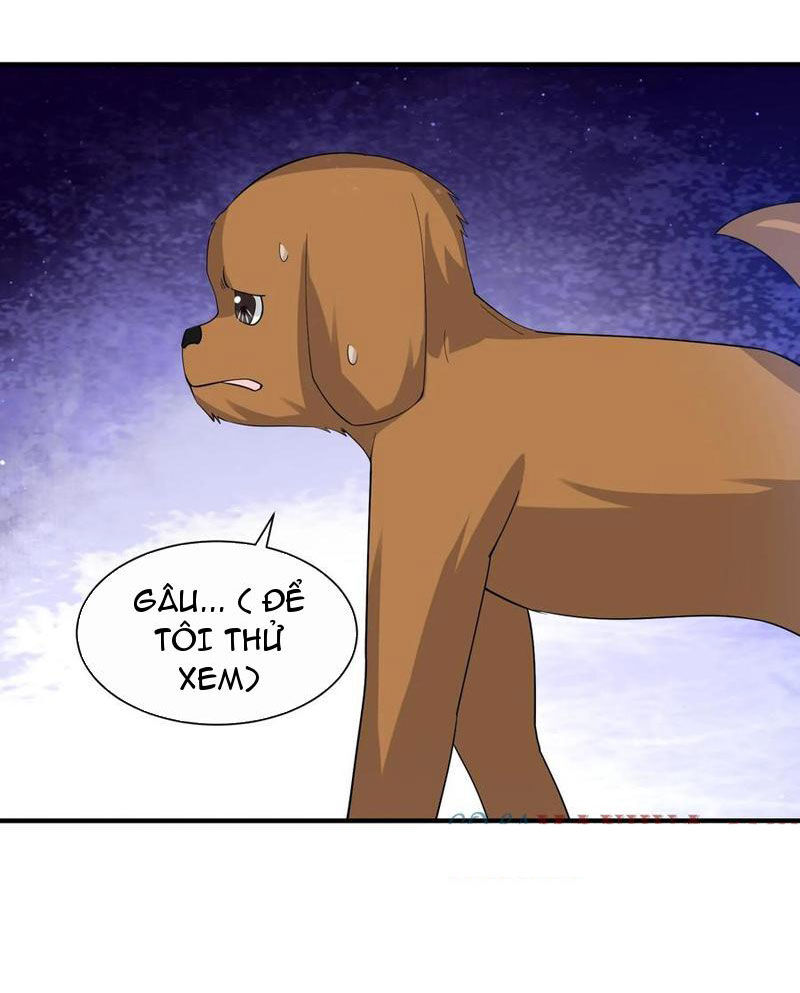 Bắt Đầu Livestream Ở Địa Phủ: Phát Sóng Trực Tiếp Ở Đây Ai Dám Đến Chapter 270 - 20