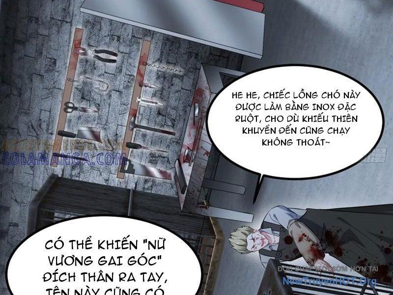 Bỏ Làm Simp Chúa, Ta Có Trong Tay Cả Tỉ Thần Hào! Chapter 229 - 17