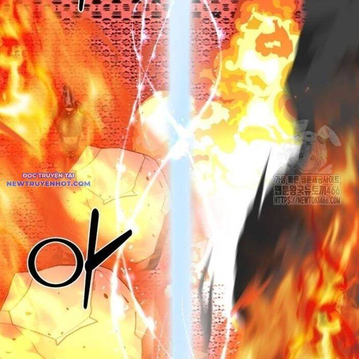 Nhân Vật Chính Ẩn Giấu Sức Mạnh Chapter 74 - 246