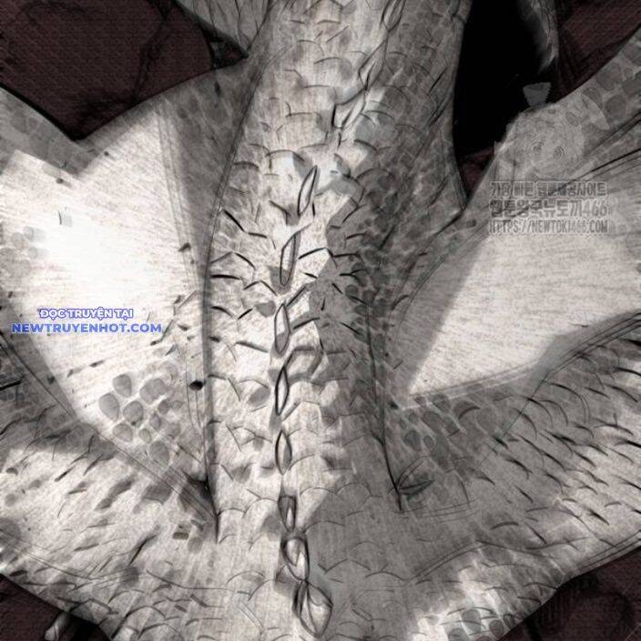 Nhân Vật Chính Ẩn Giấu Sức Mạnh Chapter 74 - 47