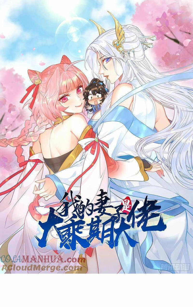 Thê Tử Của Ta Là Đại Lão Đại Thừa Kỳ Chapter 33 - 1