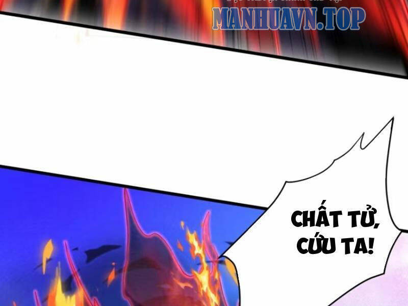 Thê Tử Của Ta Là Đại Lão Đại Thừa Kỳ Chapter 40 - 68