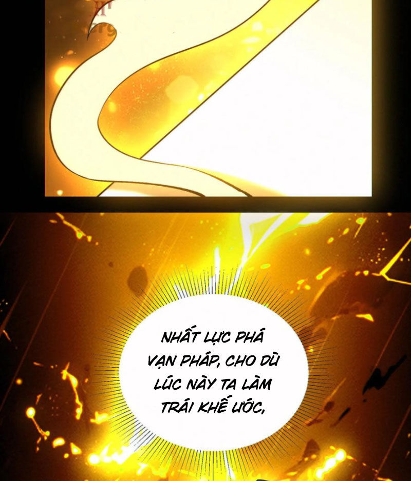 Cướp Đoạt Vô Số Thiên Phú, Ta Trở Thành Thần Ở Thời Đại Toàn Dân Chuyển Chức Chapter 91 - 33