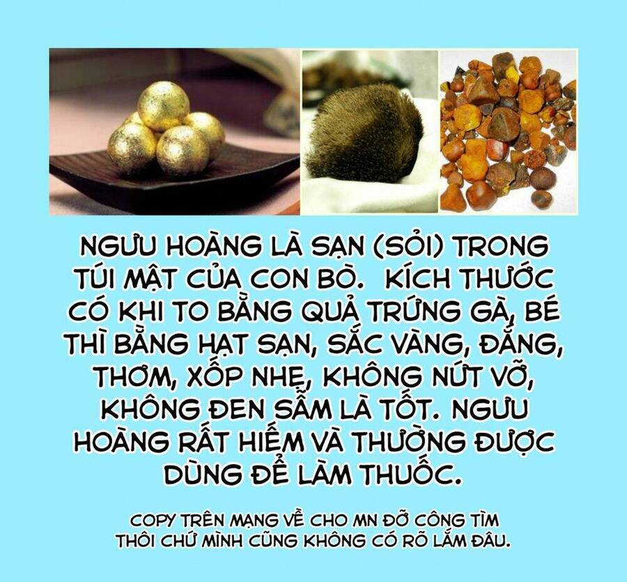 Độc Thoại Của Người Dược Sĩ Chapter 40 - 35