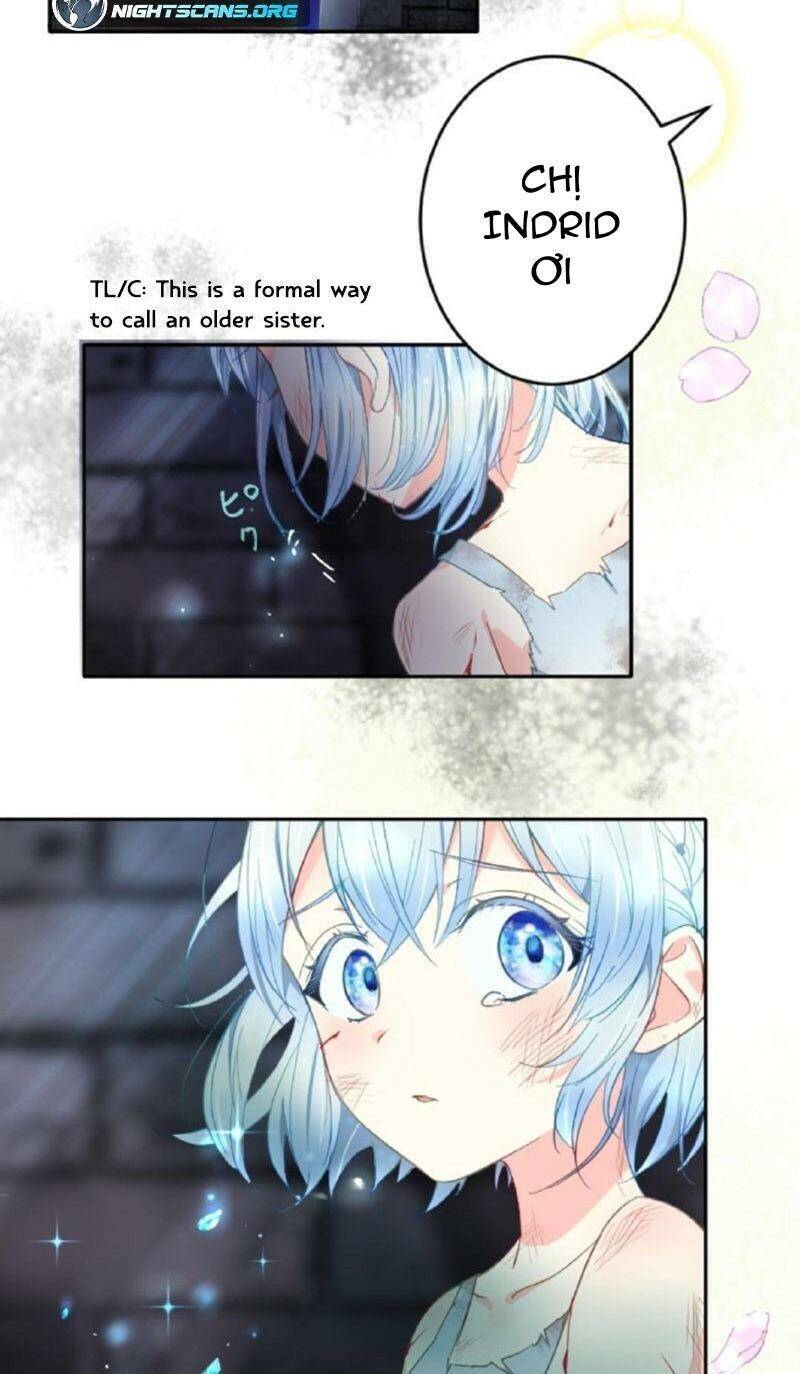 Quý Cô Không Rơi Nước Mắt Chapter 1 - 12