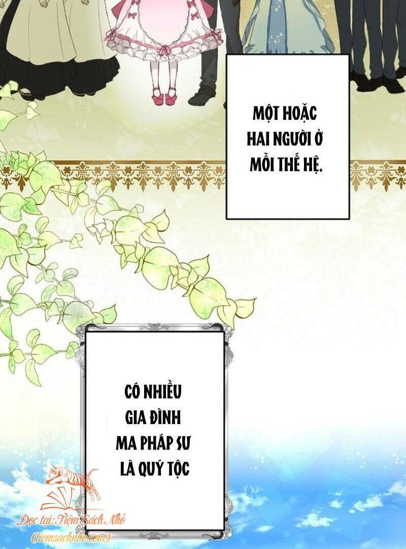 Quý Cô Không Rơi Nước Mắt Chapter 2 - 13