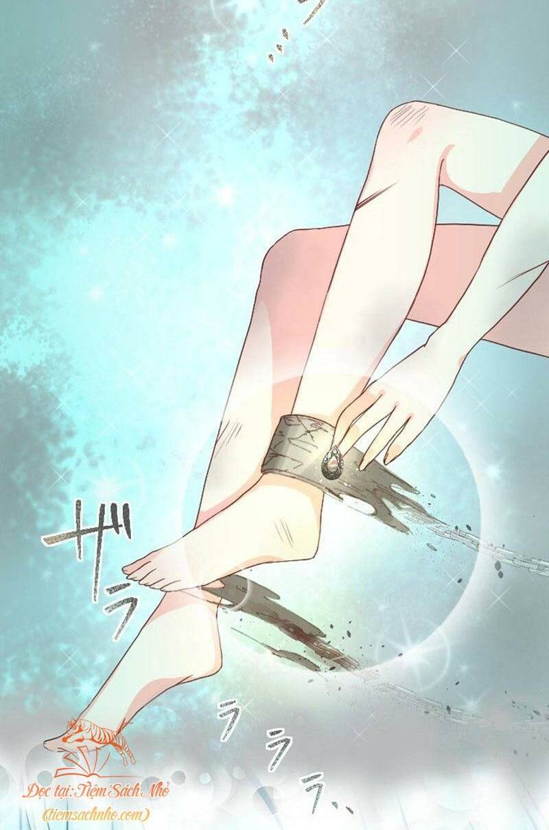 Quý Cô Không Rơi Nước Mắt Chapter 2 - 5