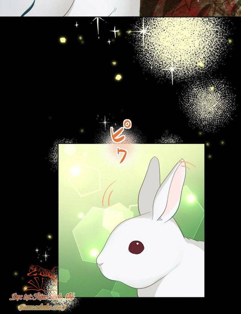 Quý Cô Không Rơi Nước Mắt Chapter 22 - 21