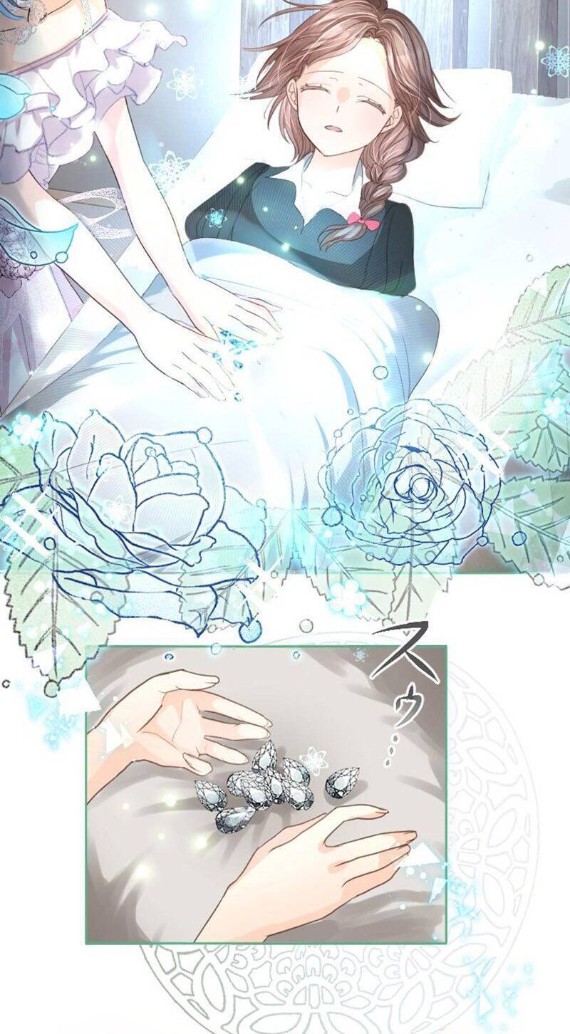 Quý Cô Không Rơi Nước Mắt Chapter 4 - 63