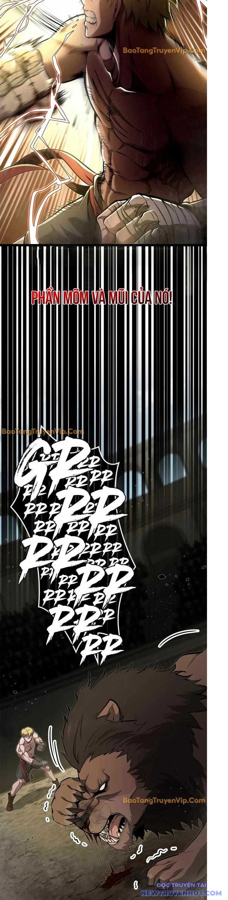 Nhà Vô Địch Kalli Chapter 101 - 12