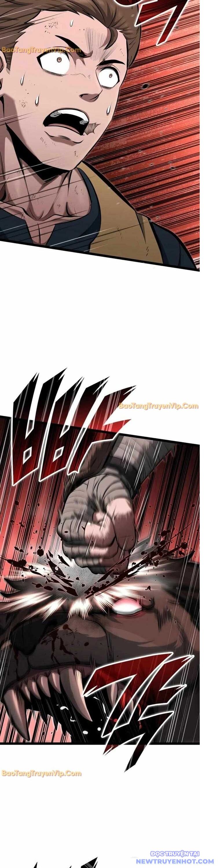 Nhà Vô Địch Kalli Chapter 101 - 24