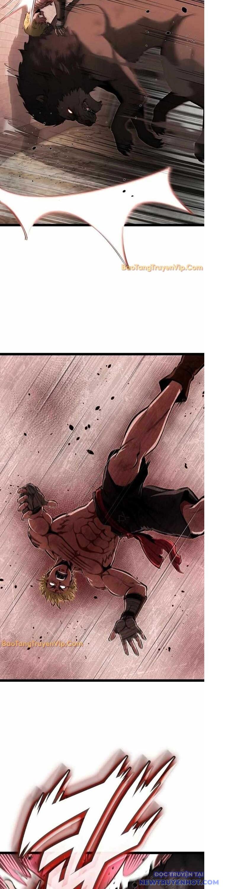 Nhà Vô Địch Kalli Chapter 101 - 36