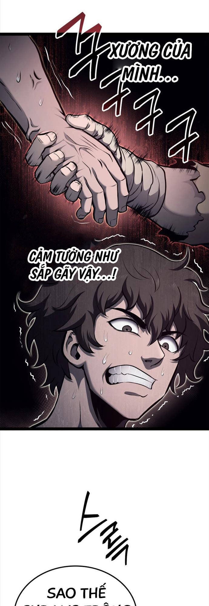 Nhà Vô Địch Kalli Chapter 30 - 25