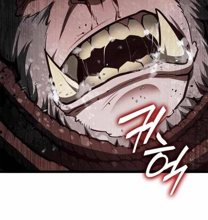 Nhà Vô Địch Kalli Chapter 61 - 14