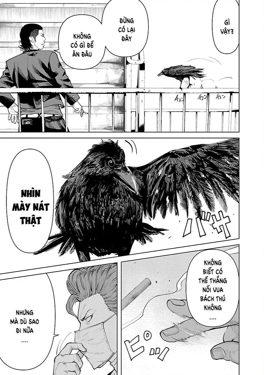 Crows Zero Reboot Chapter 6 - 22