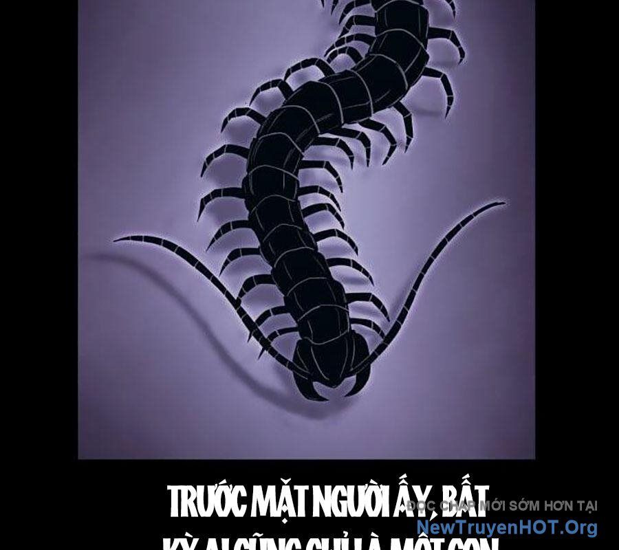 Tiếng Thét Cuồng Bạo Chapter 68 - 60