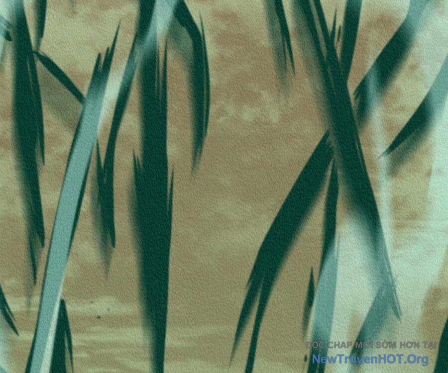 Trò Chơi Của Thần Chapter 80 - 281