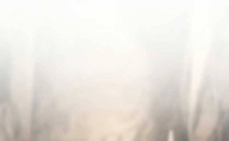 Sát Thủ Thiên Tài Đơn Độc Chapter  46 - 39