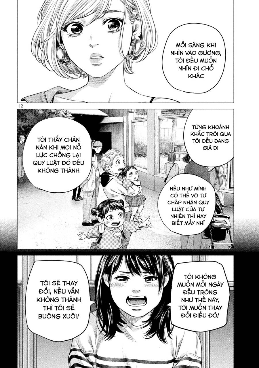 Hare Kon. Okawari! Chapter 8 - 12