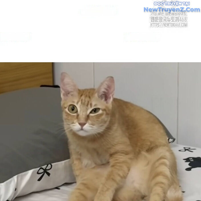 Đại Pháp Sư Mở Nhà Hàng Chapter 77 - 205