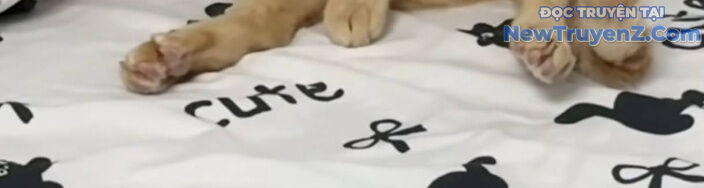 Đại Pháp Sư Mở Nhà Hàng Chapter 77 - 206