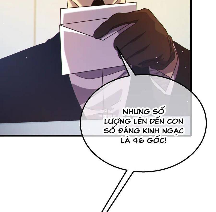 Vô Địch Bị Động Tạo Ra Tấn Sát Thương Chapter  31 - 74