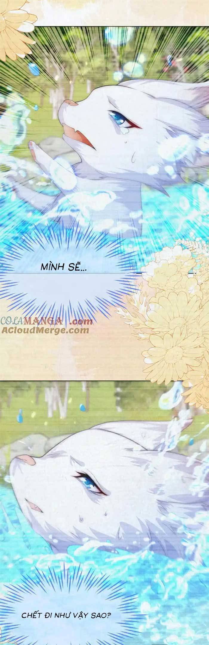 Kết Hôn Với Người Quyền Lực Nhất Hành Tinh Chapter 55 - 30