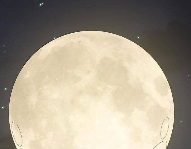 Thế Nhân Thực Sự Tin Tôi Là Đại Boss Chapter  94 - 136