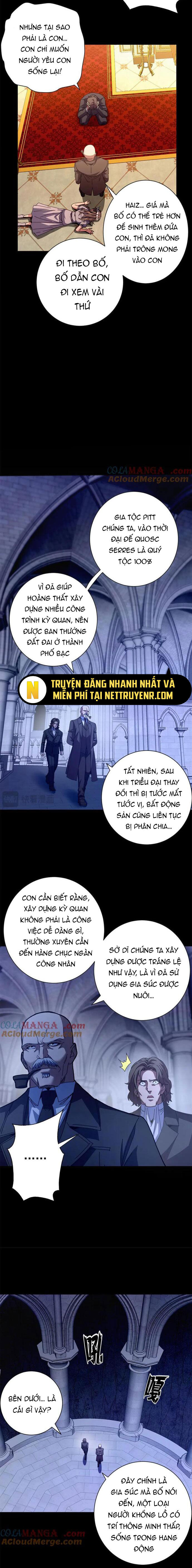 Trưởng Giám Ngục Trông Coi Các Ma Nữ Chapter 116 - 11