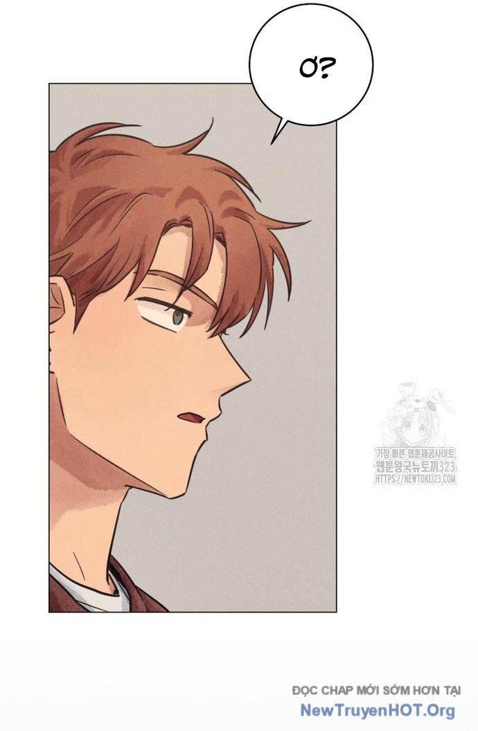 Phỏng Vấn Sát Nhân Chapter 71 - 4