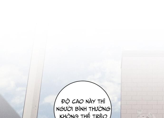 Phỏng Vấn Sát Nhân Chapter 72 - 25