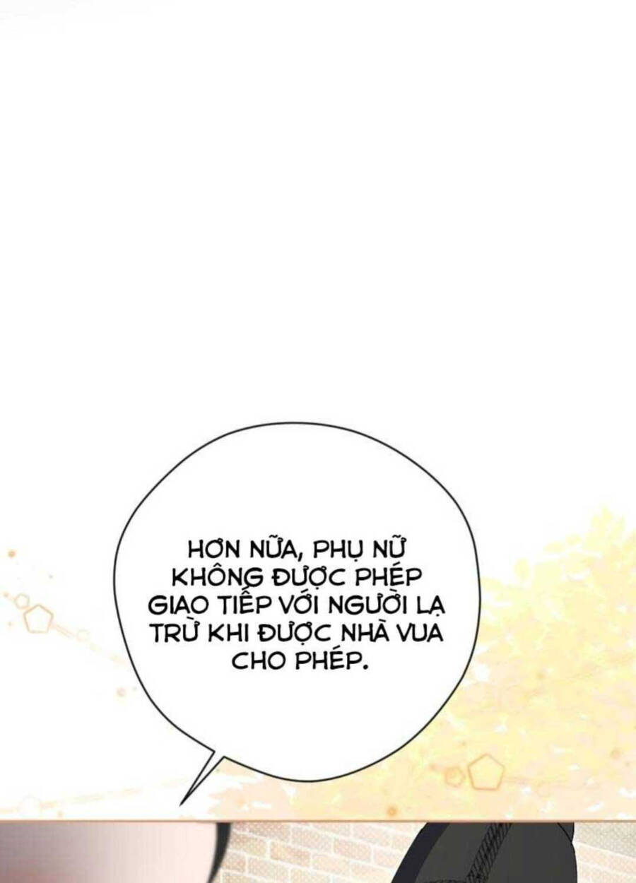 Cuộc Sống Bắt Đầu Khi Làm Một Diễn Viên Nhí Chapter  49 - 66