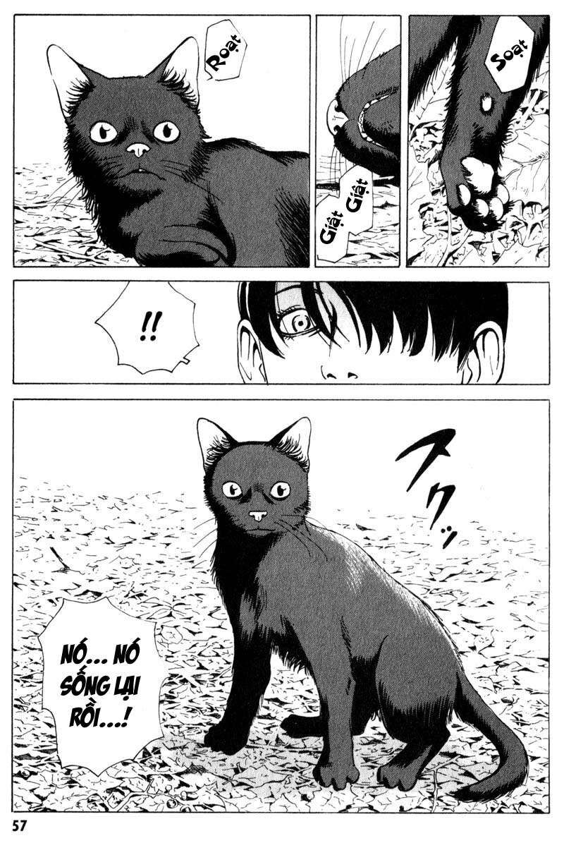 The Kurosagi Corpse Delivery Service Chapter 6 - 26