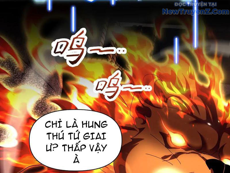 Bắt Đầu Chấn Kinh Nữ Đế Lão Bà, Ta Vô Địch! Chapter 76 - 152